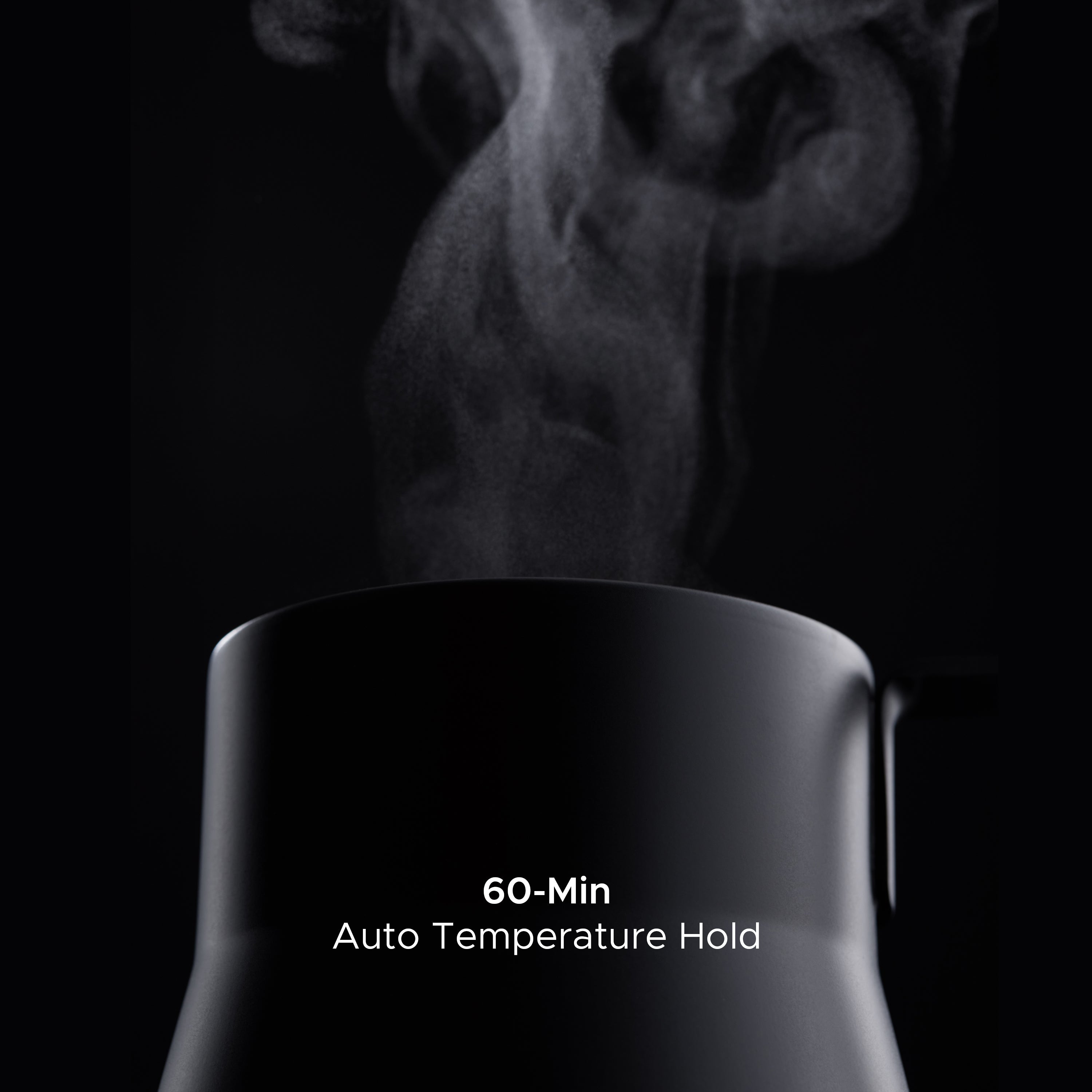 Baristan Gooseneck Electric Kettle for Coffee by SAKI