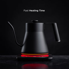 Baristan Gooseneck Electric Kettle for Coffee by SAKI