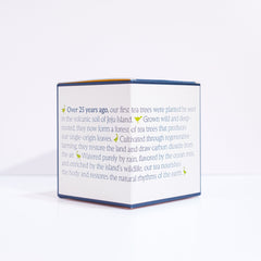 Everyday Green - Organic Green Tea Bag